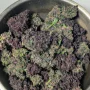 Насіння конопель BLACKBERRY Auto від Fast Buds